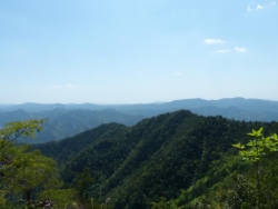 画像14